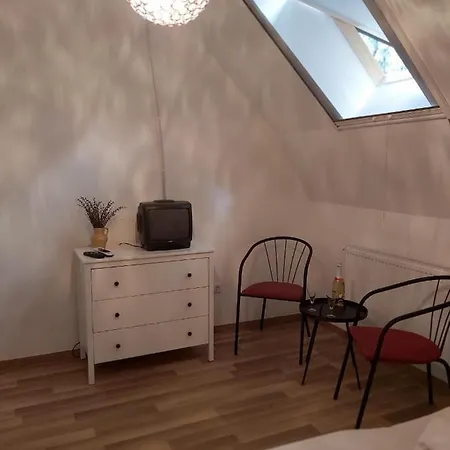 Platanus Vendeghaz Bed & Breakfast *