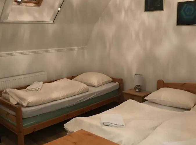 Platanus Vendeghaz 3*