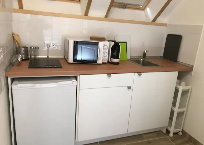 Platanus Vendeghaz 3*